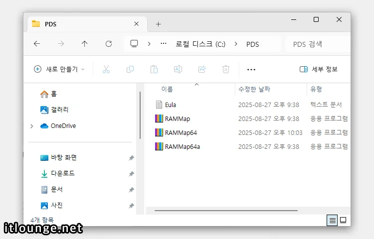 RAMMap 다운로드